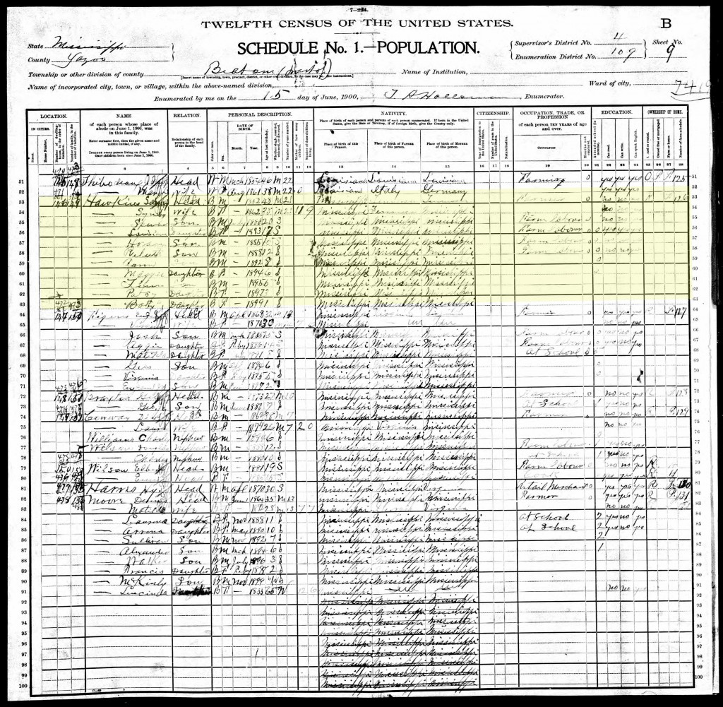1900 U.S. Census, Yazoo County, Beat 1 (Enola Precinct) Page 49 of 67